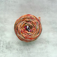 Load image into Gallery viewer, DESTASH: spun right round squish dk | cornucopia
