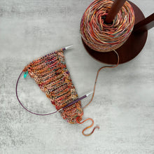 Load image into Gallery viewer, DESTASH: spun right round squish dk | cornucopia