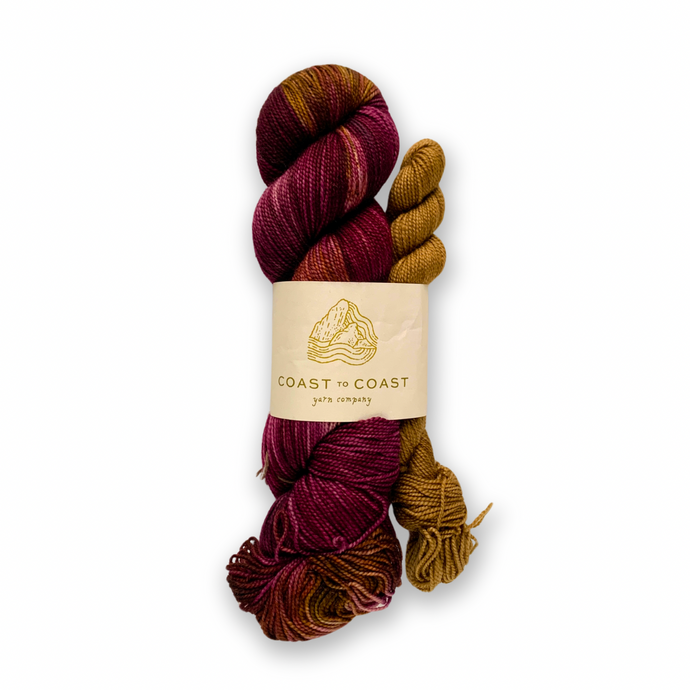 DESTASH: coast to coast yarn company 2-ply fingering | amethyst deceiver + golden enoki