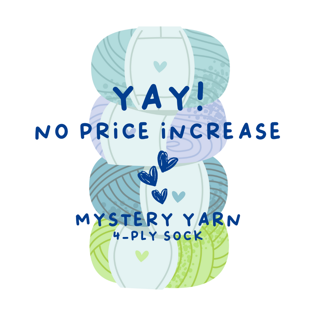 No Price Increase Mystery Skein | 4-ply sock